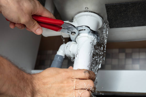 Best Water damage cleanup near me  in Madison Lake, MN