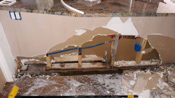 Best Professional water damage repair  in Madison Lake, MN