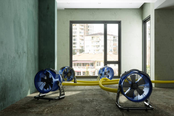 Best Water damage contractors near me  in Madison Lake, MN